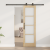 Ușa Glisantă  cu Set de Accesorii 'ORKDAL'Lemn Masiv & Sticlă GartenMobel Dekor