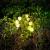 LAMPA LED SOLARA DECORATIVA REBEL EuroGoods Quality
