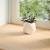Pervaz 2 buc lemn masiv de stejar netratat 160x15x2 cm GartenMobel Dekor