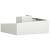 Ghivece & Plante Alb Plastic Mediu Detalii decorative GartenMobel Dekor