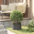 Ghiveci metalic negru Negru Metal 30 x 30 x 20 cm GartenMobel Dekor