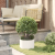 Ghivece Alb Ceramice Alb Ceramică Diametru de 30 cm GartenMobel Dekor