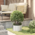 Set de Ghivece Metalice Gri Galvanizat Metal galvanizat Mediu GartenMobel Dekor