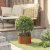 Set de Ghivece din Oțel Corten Oțel corten Mediu Durabil GartenMobel Dekor