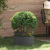 Ghiveci mare din metal negru Negru Metal Mare Durabil GartenMobel Dekor