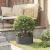 Ghiveci mare din metal negru Negru Metal Mare Durabil GartenMobel Dekor