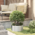 Ghiveci Metalic Gri Galvanizat Metal Mic Inserții Decorative GartenMobel Dekor