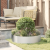 Ghiveci Metalic Gri Galvanizat Metal Mare Ghiveci Gri Circular GartenMobel Dekor