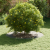 Ghiveci Metalic Zincat Zincat Metal Mare Durable GartenMobel Dekor