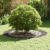 Ghiveci metalic mare Negru Metal Mare Inserții decorative GartenMobel Dekor
