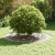Ghivece Albe Alb Plastic Mare Ghiveci Alb Rotund Minimalist GartenMobel Dekor