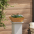 Ghiveci Metalic Oțel rezistent la vreme 40 x 40 x 15 cm GartenMobel Dekor