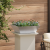 Set de ghivece metalice Oțel inoxidabil Mare Inserții decorative GartenMobel Dekor