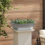 Ghiveci Metalic oțel galvanizat 50 x 50 x 15 cm Ghiveci Metalic GartenMobel Dekor
