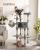 FEANDREA Ansamblu de joaca pentru pisici, tip copac, cu 3 culcusuri, hamac si ascunzatoare, 50x50x164cm, gri deschis Household NewTrend
