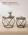 VASAGLE Set de 2 mese de cafea, stil industrial, 50x40cm si 40x36cm, maro rustic si negru Household NewTrend