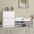 VASAGLE Dulap pantofi cu 2 usi rabatabile, din MDF, pentru 8-12 perechi, 60x24x84cm, alb Household NewTrend