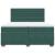 Pat box spring cu saltea, verde închis, 200x200 cm, catifea GartenMobel Dekor