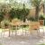 Scaune Exterioare 4 pcs crem, maro GartenMobel Dekor