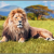 Proiector tip lanterna - Cele mai periculoase animale PlayLearn Toys