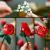 LEGO Buchet de trandafiri Quality Brand