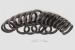 Lyrik/Domain Oil Seal - Black Ultimate FactoryBikes