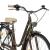 Bicicleta Oras Devron Grazia 6s Retro - 28 Inch, L, Maro Ultimate FactoryBikes