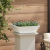 Ghiveci din plastic 5 pcs Alb 50 x 50 x 15 cm Oțel GartenMobel Dekor