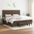 Pat box spring cu saltea, maro închis, 200x200 cm, textil GartenMobel Dekor