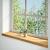 Pervaz 2 buc lemn masiv de maro deschis 120x25x2 cm GartenMobel Dekor