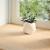 Pervaz 2 buc lemn masiv de stejar netratat 80x40x2 cm GartenMobel Dekor