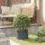Ghivece Metalice Antracit Antracit Metal Mediu Ghivece din Metal GartenMobel Dekor