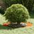 Ghiveci din Oțel Corten Oțel Corten Mare Inserții Decorative GartenMobel Dekor