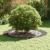 Set Ghivece Negre Negru Plastic Mare Durabil Ghiveci Negru GartenMobel Dekor