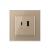 Priza USB-A + USB-C cu Rama Din Sticla LIVOLO - Serie Noua SmartElectro IntelligentHouse
