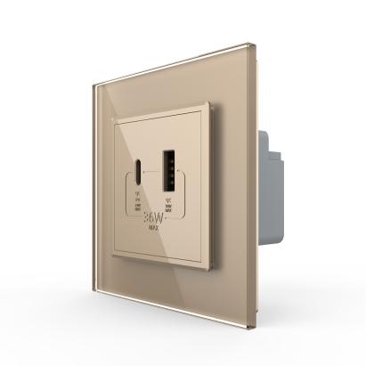 Priza USB-A + USB-C cu Rama Din Sticla LIVOLO - Serie Noua SmartElectro IntelligentHouse
