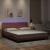 Cadru de pat cu lumini LED, roz, 180x200 cm, catifea GartenMobel Dekor