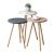 Set 3 masute Hjørring masuri diferite alb gri roz [en.casa] HausGarden Leisure