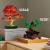 LEGO Bonsai de artar japonez rosu Quality Brand