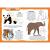 Primul set de arta & lucru manual - Animalute PlayLearn Toys
