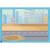 Primul set de arta & lucru manual - Vehicule PlayLearn Toys