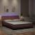 Cadru de pat cu lumini LED, roz, 160x200 cm, catifea GartenMobel Dekor