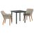 Set de dining 3 pcs Gri deschis și Negru Mediu GartenMobel Dekor