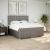 Pat continental cu saltea, gri taupe, 180x200 cm, textil GartenMobel Dekor
