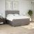 Pat continental cu saltea, gri taupe, 180x200 cm, textil GartenMobel Dekor