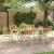 Set de Dining pentru Grădină  7 piese Lemn Solid de Tec GartenMobel Dekor