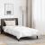 Perna cu duvet de vară Altele 2 pcs Alb 155 x 220 cm Microfibră GartenMobel Dekor
