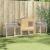 Căsuță pentru pui Maro 225 x 60 x 89 cm Lemn masiv de pin GartenMobel Dekor