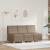 Scaune canapea 3 pcs Cappuccino 55 x 74 x 82 cm GartenMobel Dekor
