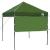 Cort cu Copertină Verde 200 x 200 cm Tafeta Oxford GartenMobel Dekor